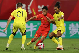 这只小狐狸